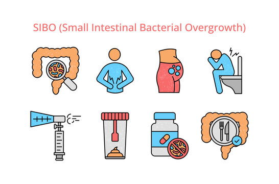 SIBO (Small Intestinal Bacterial Overgrowth) set. Includes intestines, gut bacteria, common symptoms, diagnostic breath tests, treatment, and dietary management.