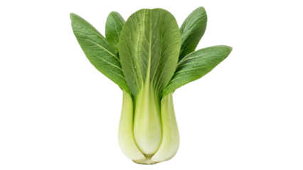 Fresh Bok Choy vegetable isolated on transparent background