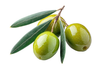 Close-up of three olives on a branch with leaves.  Fresh, vibrant green olives and leaves.  High-quality image