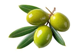 Close-up of three olives on a branch with leaves.  Bright green olives, glossy, and  fresh-looking.  Isolated against black background