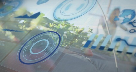 Displaying strawberry plants showing ripe berries on glass in greenhouse, with HUD radial graphs