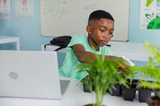 African male youth leaning over table in classroom tending seedling trays near open silver laptop