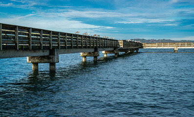 Obraz premium Puget Sount Pier 2