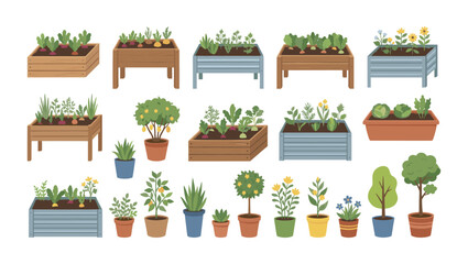 Urban gardening collection growing vegetables and herbs