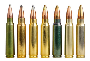 Assorted firearm cartridges in a horizontal row