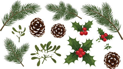 Christmas botanical collection featuring pine branches, pinecones, holly leaves with red berries, and mistletoe sprigs, cad drawing flat vector illustration.