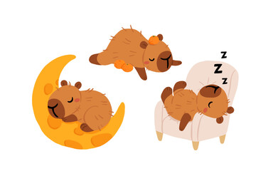 Obraz premium Sleeping capybara. Nap vector set with moon and armchair. Cute cozy animal illustration for bedtime and relaxation. Nursery stickers design. Clipart for social media