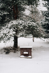 A bee house under the snow