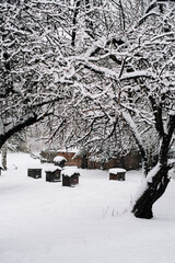 A bee house under the snow