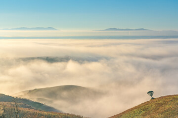 Foggy Sunrise Over Volterra Hills with Lone Tree, Tuscany, Italy