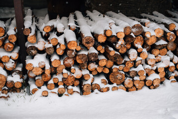 Felled wood or tree stump under snow, cut natural wood