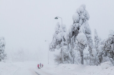View of snow-laden trees and a group of people walking along a snow-covered path under the hazy sky in Ruka, Pohjois-Pohjanmaa, Finland.