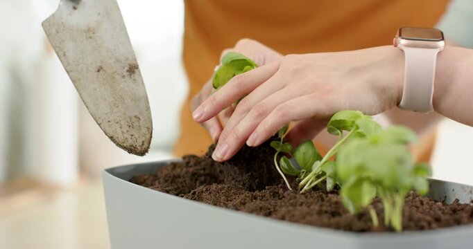 Asian couple wearing orange tops potting seedlings in box trowel pushing soil on counter for herbs