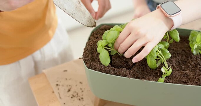 Asian couple preparing planter for herbs, holding plug with smartwatch and digging with trowel