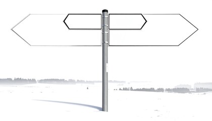 Directional signpost in a snowy landscape, offering multiple choices.