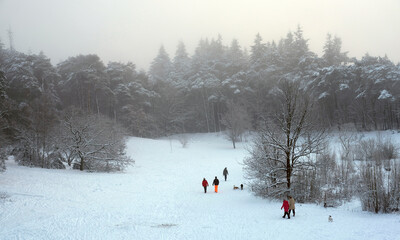 people walk their dogs in snowy forest near utrecht at frozen pond of heihuis in Den Treek Henschoten