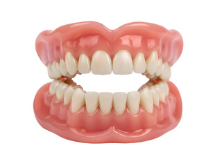 Obraz premium Full Set of Dentures with Pink Gums and White Teeth Isolated on Transparent Background Isolated on T