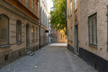 View of cobblestone streets lined with buildings, casting shadows and light, and a vibrant tree adds a touch of nature, Gamla stan, Stockholm, Sweden.
