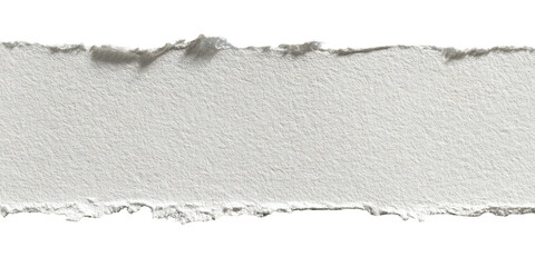 Ripped strip of off-white paper