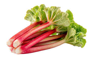 Close-up of vibrant red rhubarb stalks with green leaves