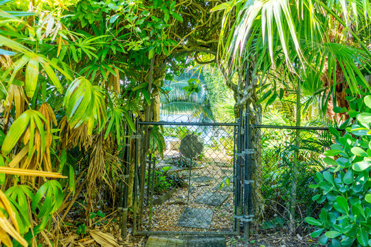 View of a rustic metal gate beckons, framed by verdant foliage, opening onto a tranquil body of water bathed in soft sunlight, Boca Raton, Florida, United States.