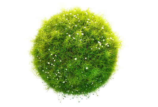green grass planet isolated on transparent background, Conceptual 3D rendering resembling a miniature grassy planet with flowers