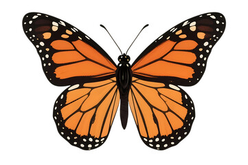 Obraz premium Monarch butterfly with orange wings on transparent background