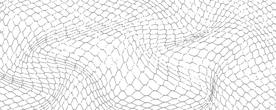Black snake skin pattern isolated on white background eps 10