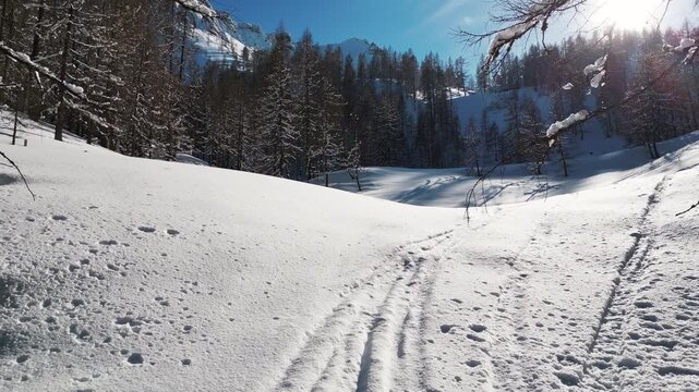 Cinematic Drone Flight Through Snowy Austrian Alps Forest &ndash; Winter 4K