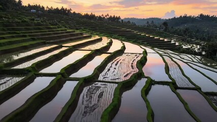 Stunning rice terraces at sunset