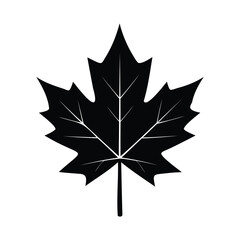 Fototapeta premium Maple Leaf Silhouette Icon Vector Illustration