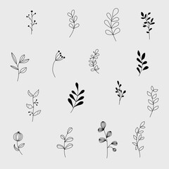Minimalist hand drawn botanical branch set in black line style. Simple plant and leaf elements isolated on transparent background for branding, packaging, stationery and web design.