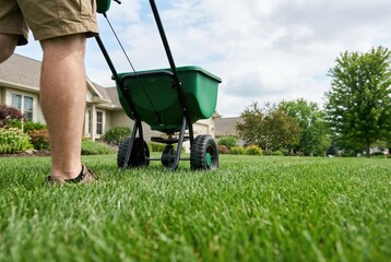 Person uses a spreader to apply lawn care products on a grassy yard in a residential area during a sunny day in the afternoon