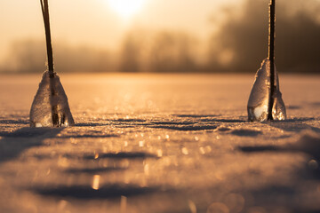 Zimowy wschód słońca nad zamarzniętym stawem © Elżbieta Kaps