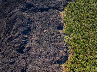 Top down aerial view showing vivid green banana plants contrasting with dark volcanic soil on La Palma,