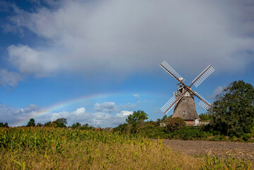 Oldsumer Windm&uuml;hle mit Regenbogen, Wolkenhimmel und Maisfeld im Vordergrund auf der Nordseeinsel F&ouml;hr