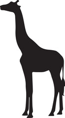 silhouette of a giraffe © Arup