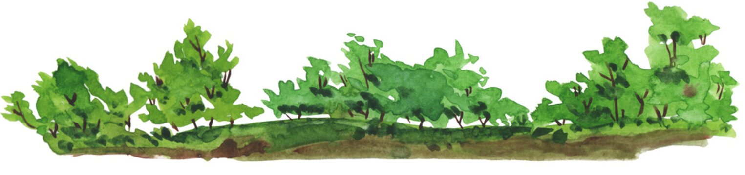 Watercolor forest border green trees foliage hand drawn nature banner background