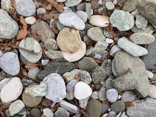 Mixed river rocks with dry leaves in natural outdoor setting