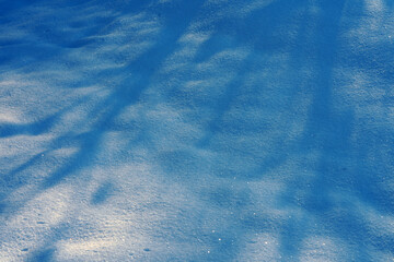 Blue shadows of trees on fresh white snow surface in winter