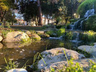 Tranquil park stream with rocks and lush greenery under sunlight in serene natural setting