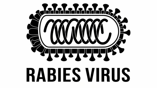 Minimalist black and white vector icon of a rabies virus featuring its characteristic bullet-shaped anatomy and identifying text, isolated on white background.