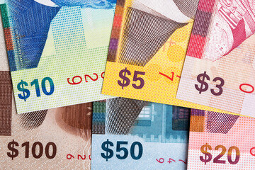 Closeup of Bahamian dollar a business background