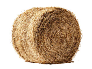 Close-up of a round bale of straw.  It's tightly rolled, light tan in color, and shows detailed texture of the hay