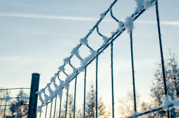 Hoarfrost-encrusted metal fence displaying elaborate ice patterns and crystalline buildup against pale winter backdrop. Seasonal outdoor texture and winter environment themes.