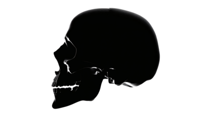 Skull silhouette minimal isolated on a white background
