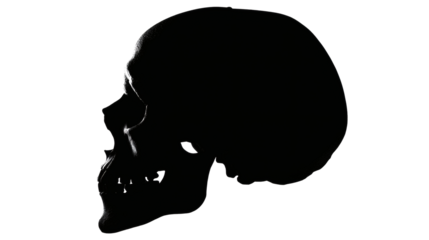 Skull silhouette minimal isolated on a white background