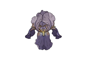 A stunning illustration of a purple iris flower, showcasing its intricate details and vibrant colors. The flower is depicted in a realistic style, with delicate petals and a golden center.