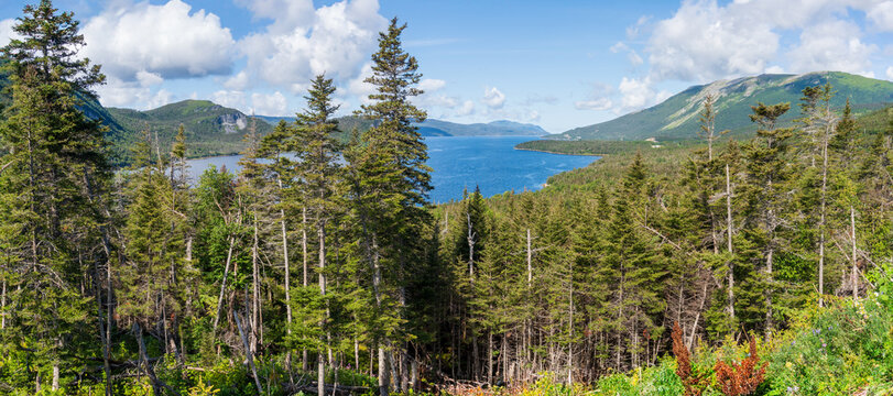 Gros Morne National Park, a Canadian national park and World Heritage Site in Newfoundland. Fjord Inner Bonne Bay East Arm and Gros Morne Mountain.