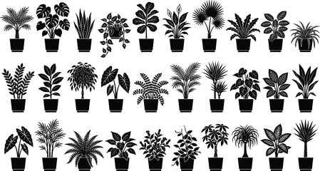 Potted Indoor House Plants Silhouette Collection Featuring Monstera, Palm, Fern, and Succulent Icons for Modern Interior Design, Vector Illustration, and Botany © Shihab Creative